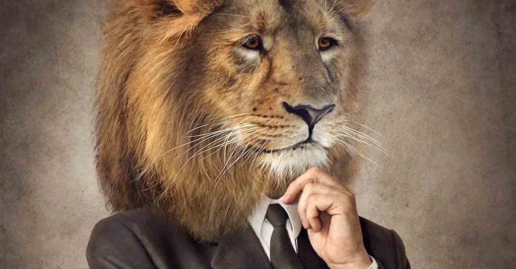 Imposto De Renda - Eficaz Consult Contabilidade - IRPF 2019 – Entenda como realizar a declaração!